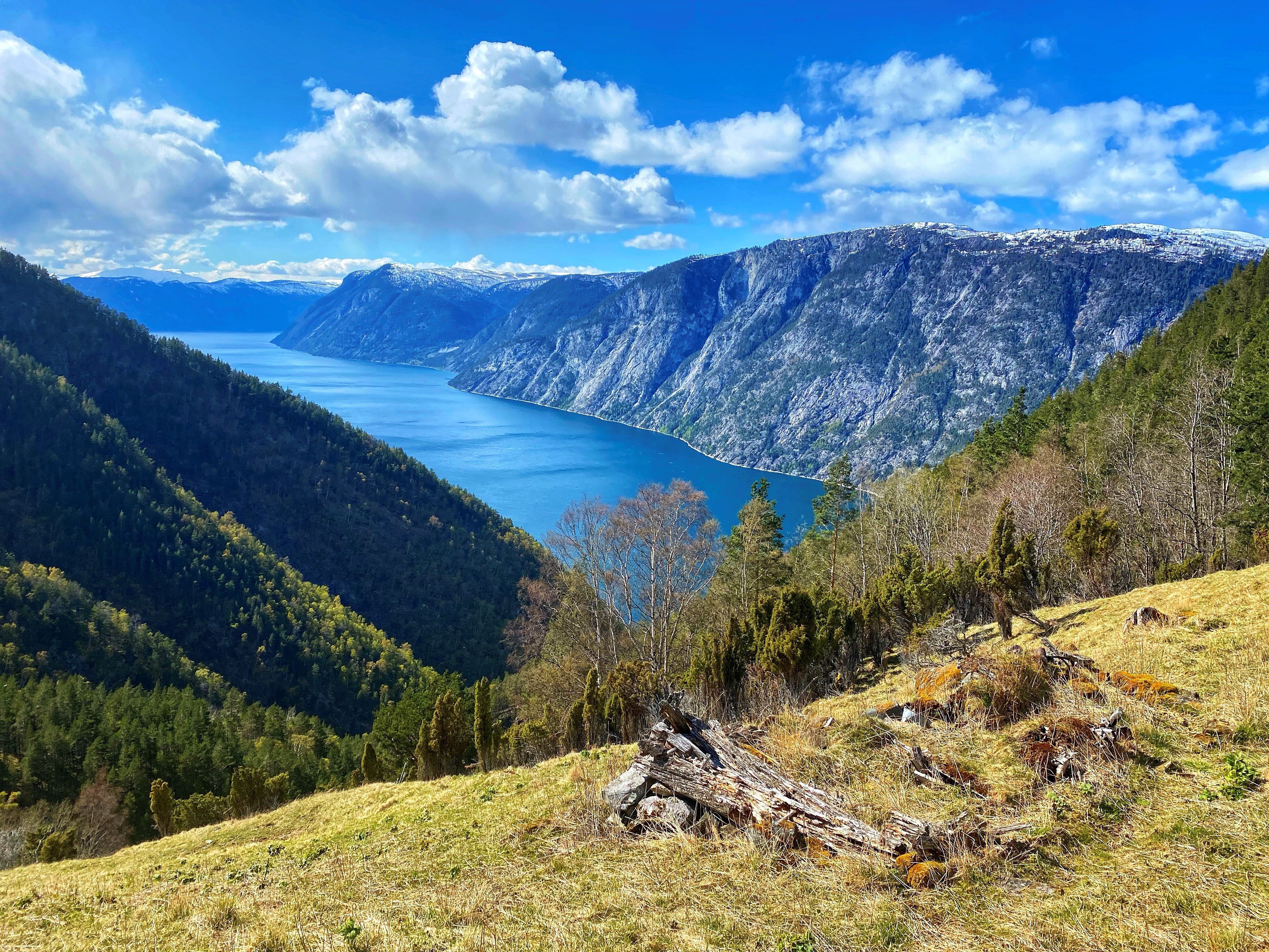 Naddvik